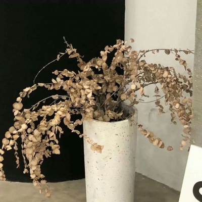 Furry兽圈创作趋势FurryQQ群